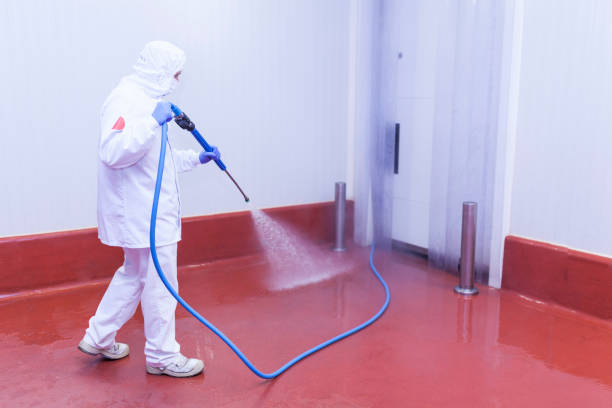 Best Pre-Holiday Cleaning  in Lake Winnebago, MO