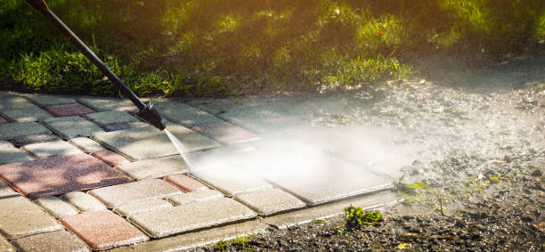 Best Animal Enclosure Cleaning  in Lake Winnebago, MO